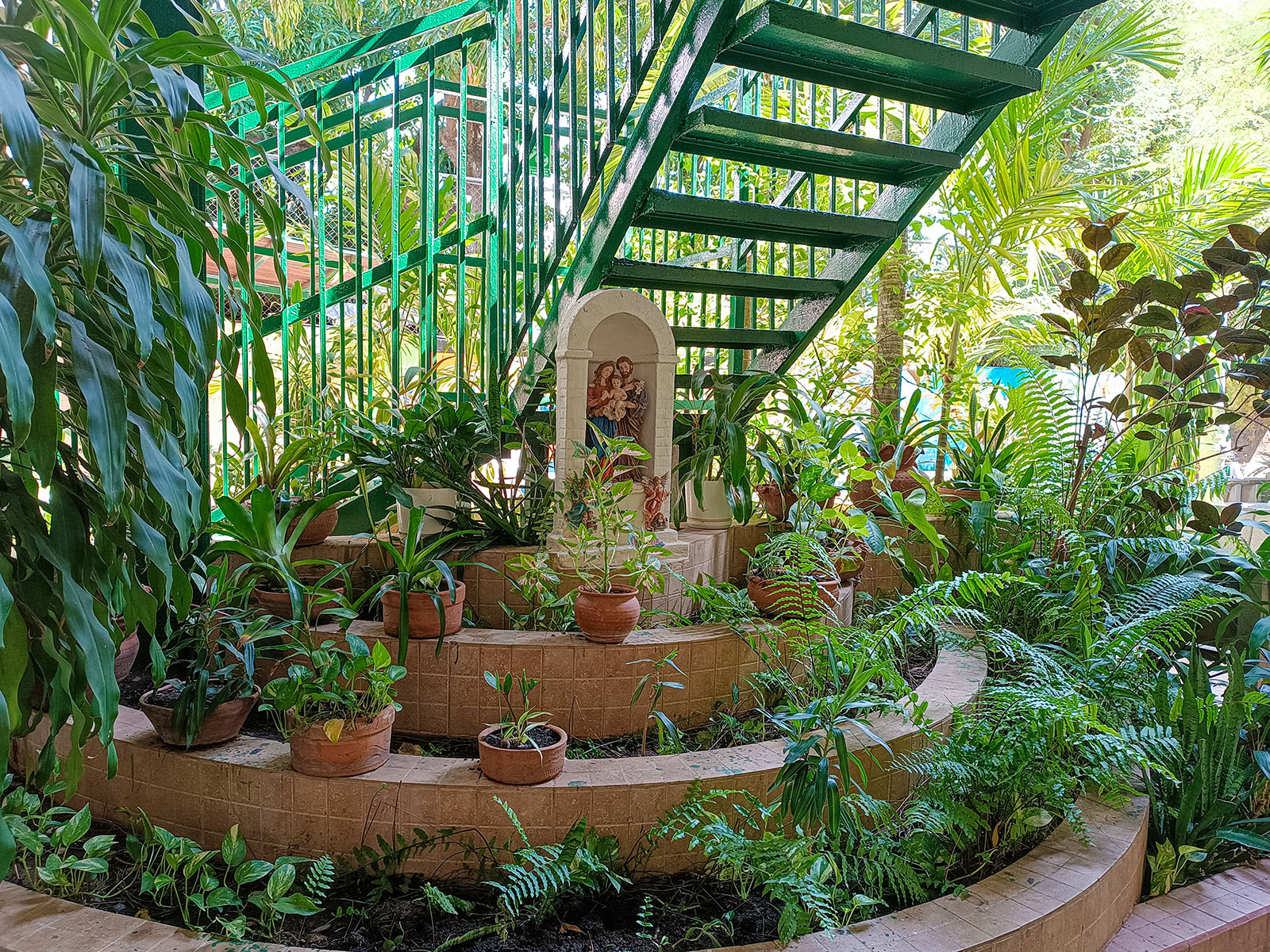 ---IMG_20250910_145229 (1)