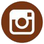 iconoInstagram